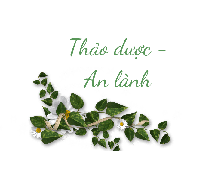THảo dược - An lành